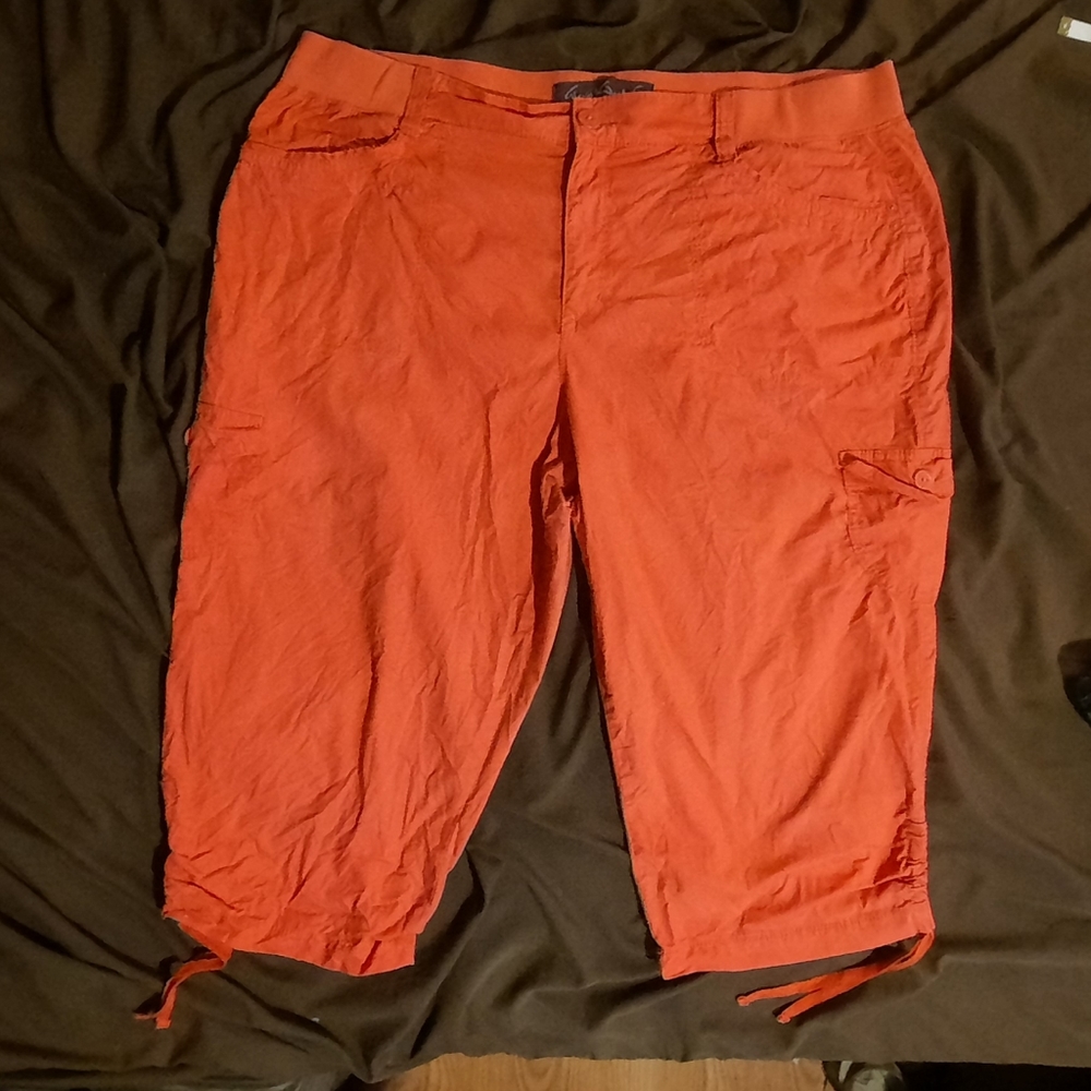 Gloria Vanderbilt shorts